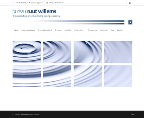 Website Ruut Willems